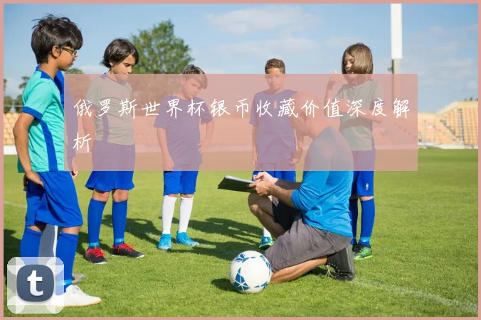 俄罗斯世界杯银币收藏价值深度解析