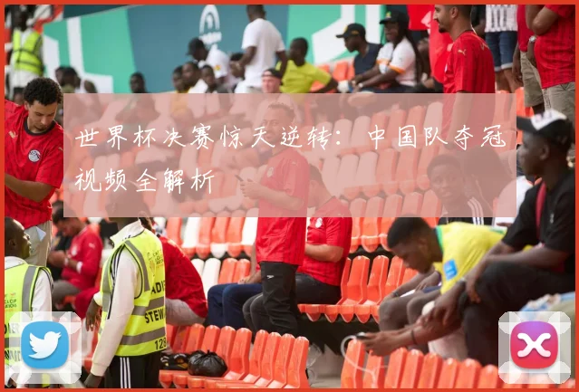 世界杯决赛惊天逆转：中国队夺冠视频全解析