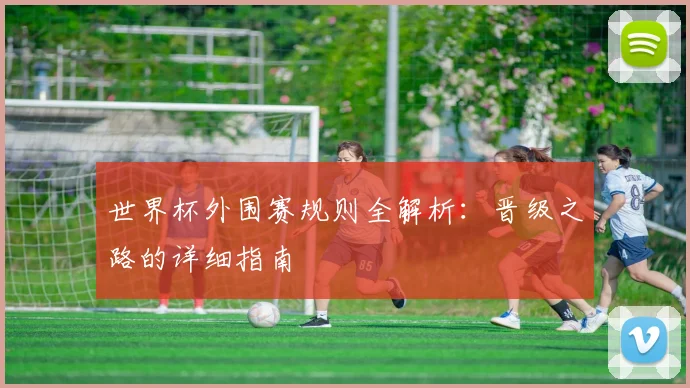 世界杯外围赛规则全解析：晋级之路的详细指南