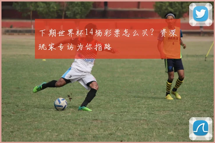 下期世界杯14场彩票怎么买？资深玩家专访为你指路