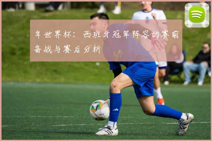 年世界杯：西班牙冠军阵容的赛前备战与赛后分析