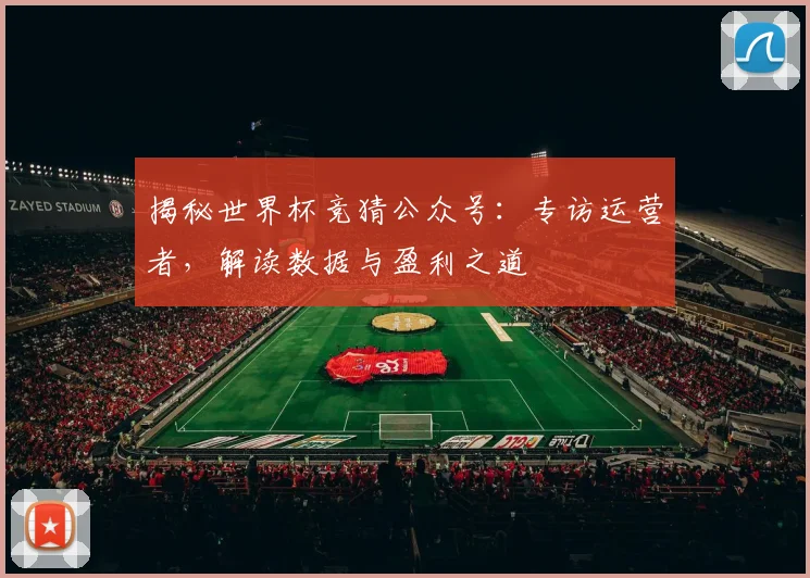 揭秘世界杯竞猜公众号：专访运营者，解读数据与盈利之道