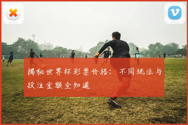 揭秘世界杯彩票价格：不同玩法与投注金额全知道